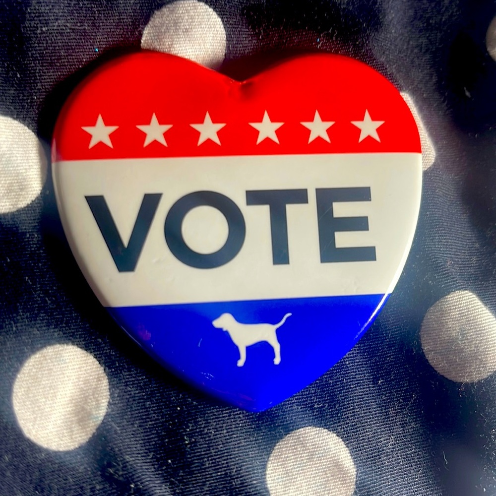 Vintage Victoria’s Secret PINK VOTE pin